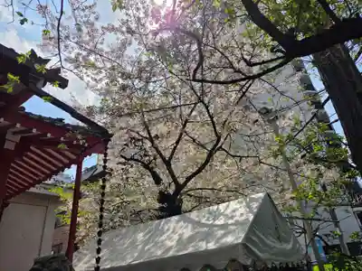 八幡神社(東京都)