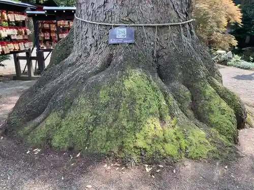 冠稲荷神社の自然