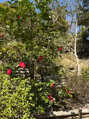 華厳寺(鈴虫寺)の庭園