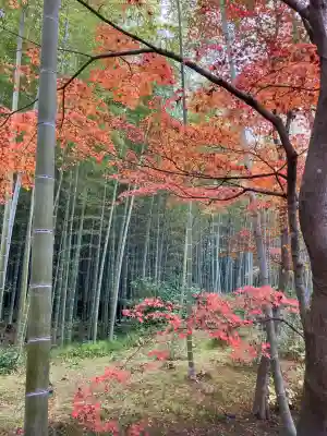 天龍寺(京都府)