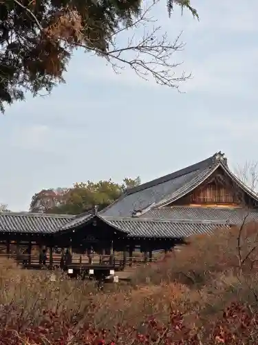 東福禅寺（東福寺）(京都府)
