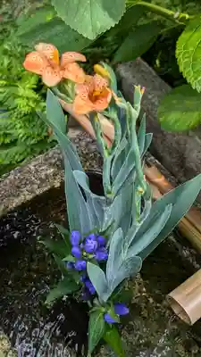 宝蔵寺(京都府)