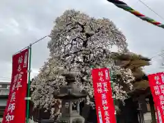 正福寺の自然