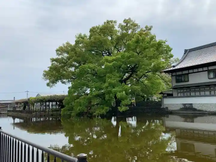 照明寺 (反町薬師尊)(群馬県)