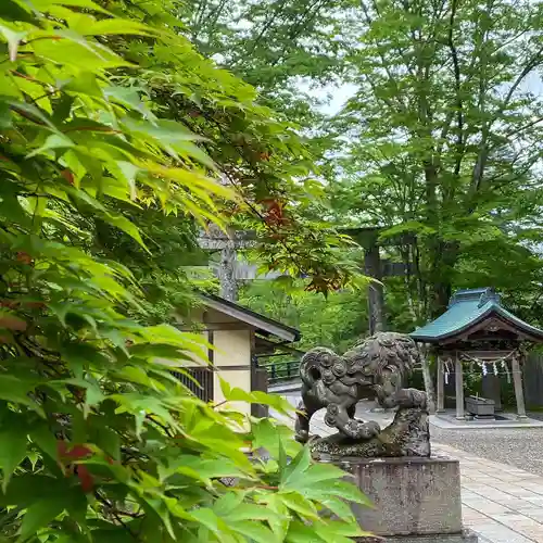 古峯神社の狛犬