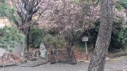 後土御門天皇後宮　贈皇太后朝子般舟院陵(京都府)