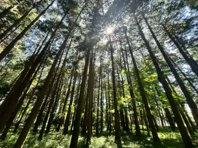 田村神社(滋賀県)