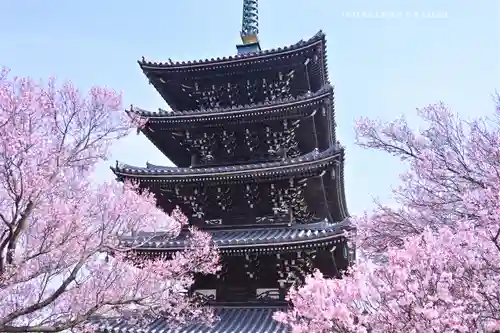 香林寺(神奈川県)