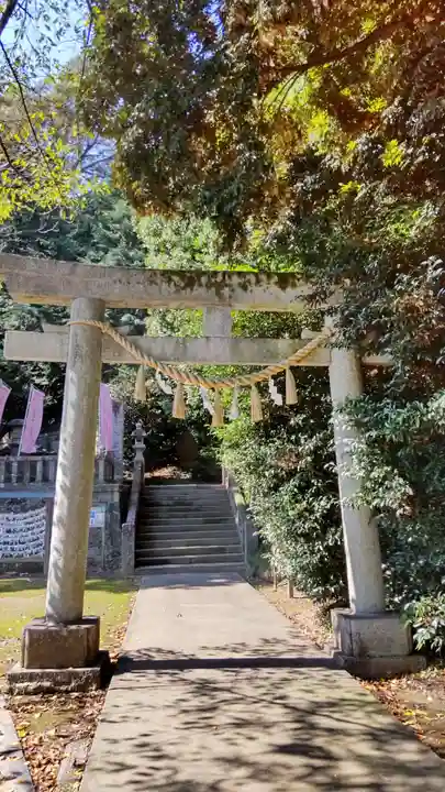 前玉神社(埼玉県)