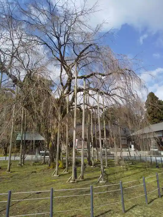 足羽神社の自然