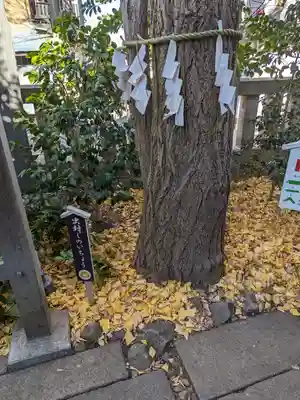 行田八幡神社(埼玉県)