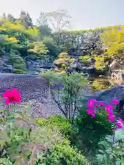 當麻寺 奥院の自然