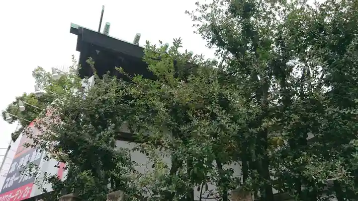 七宮神社の本殿・本堂