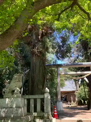 大胡神社(群馬県)