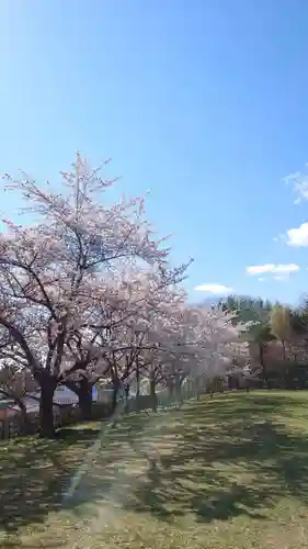 相馬神社の自然