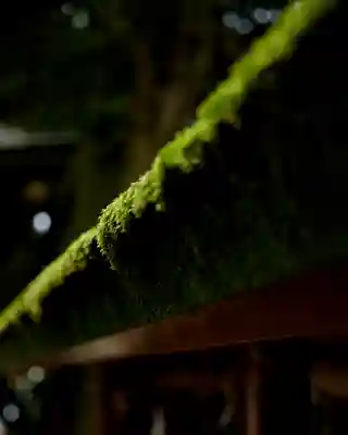 一言主神社(茨城県)