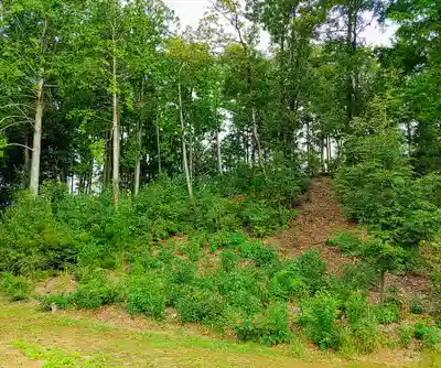 東之宮社の周辺