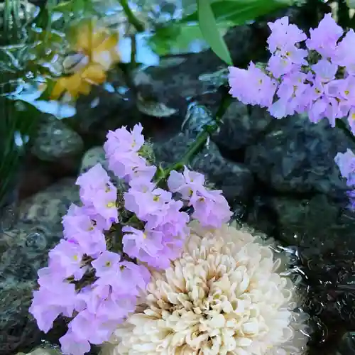 滑川神社 - 仕事と子どもの守り神の手水