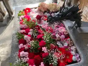 札幌諏訪神社の手水舎(2021年05月08日(土) 09時14分39秒投稿)