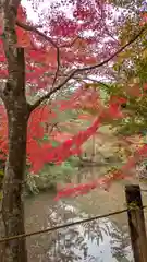 鍬山神社(京都府)