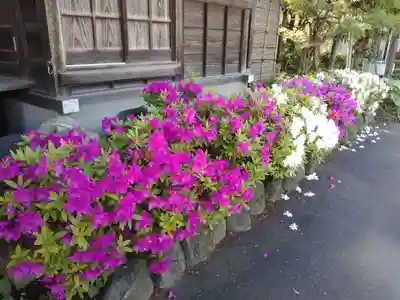 圓乗院のその他建物