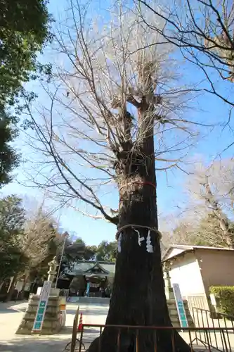 春日部八幡神社(埼玉県)