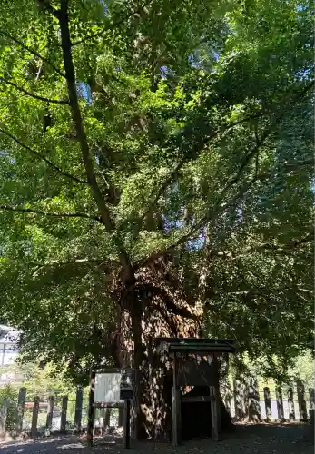 素盞雄神社(奈良県)