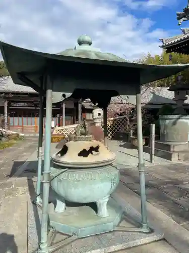 妙蓮寺の{uncategorized: "未分類", other: "その他", undefined: "問題あり", building: "その他建物", grave: "お墓", sacred_gate: "鳥居", guardian: "狛犬", statue: "像", buddha: "仏像", history: "歴史", nature: "自然", garden: "庭園", animal: "動物", pagoda: "塔", temizu: "手水舎", mountain_gate: "山門・神門", sanctuary: "本殿・本堂", subordinate: "末社・摂社", art: "芸術", scenery: "景色", jizo: "地蔵", ema: "絵馬", goshuin: "御朱印", omikuji: "おみくじ", items: "授与品その他", amulet: "お守り", goshuincho: "御朱印帳", eats: "食事", festival: "お祭り", votive_dance: "神楽", shichigosan: "七五三参", wedding: "結婚式", experience: "体験その他", initially: "初詣", around: "周辺", anti_infection: "感染症対策"}