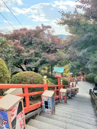 足利織姫神社(栃木県)