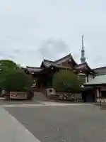 亀戸天神社(東京都)