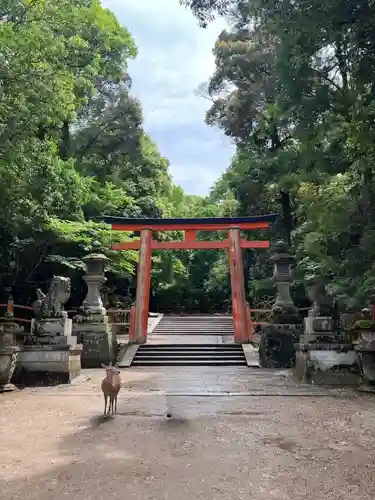 春日大社(奈良県)