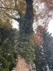 那須神社(栃木県)