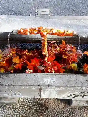 賀茂別雷神社の手水舎