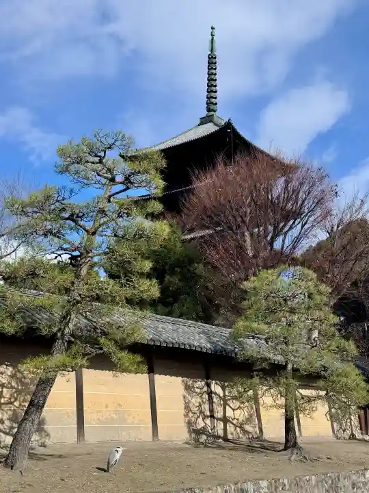 東寺(教王護国寺)の{uncategorized: "未分類", other: "その他", undefined: "問題あり", building: "その他建物", grave: "お墓", sacred_gate: "鳥居", guardian: "狛犬", statue: "像", buddha: "仏像", history: "歴史", nature: "自然", garden: "庭園", animal: "動物", pagoda: "塔", temizu: "手水舎", mountain_gate: "山門・神門", sanctuary: "本殿・本堂", subordinate: "末社・摂社", art: "芸術", scenery: "景色", jizo: "地蔵", ema: "絵馬", goshuin: "御朱印", omikuji: "おみくじ", items: "授与品その他", amulet: "お守り", goshuincho: "御朱印帳", eats: "食事", festival: "お祭り", votive_dance: "神楽", shichigosan: "七五三参", wedding: "結婚式", experience: "体験その他", initially: "初詣", around: "周辺", anti_infection: "感染症対策"}