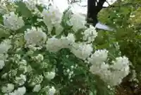 海龍王寺(奈良県)