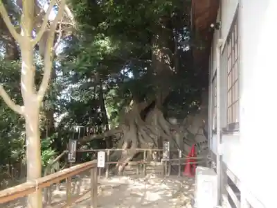 春日神社(神奈川県)