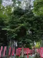 八重垣稲荷神社(東京都)