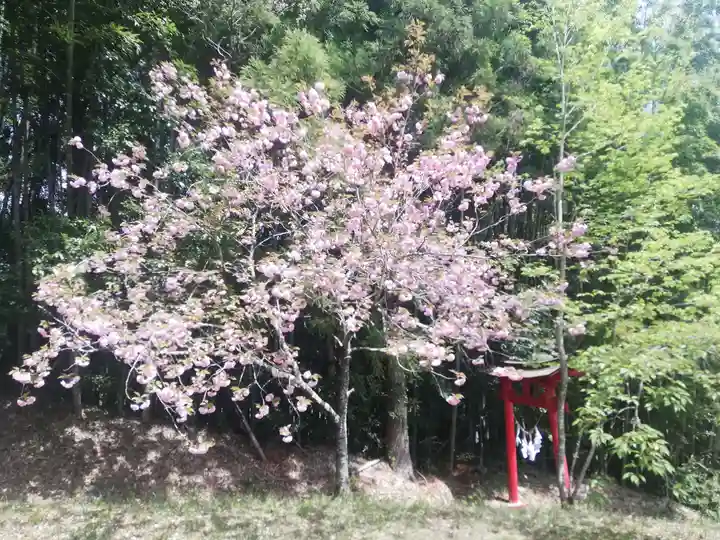 八幡神社(福島県)