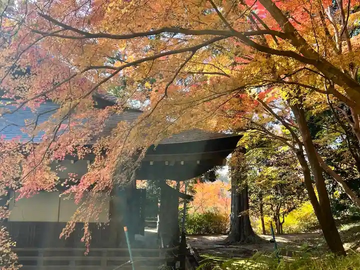 弘川寺(大阪府)