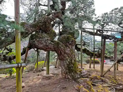 塩澤寺(山梨県)