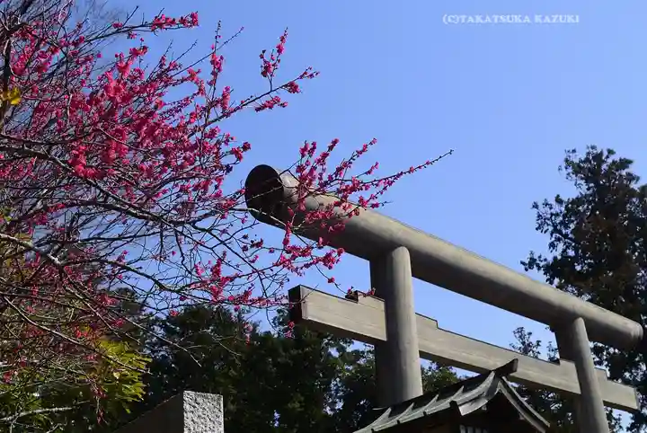 鹿島神宮(茨城県)