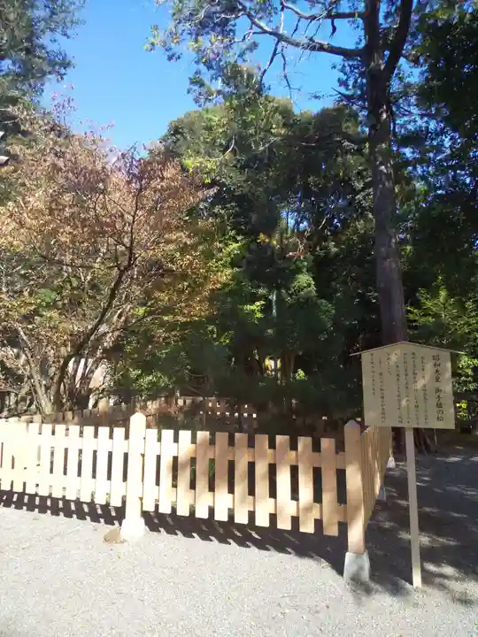 伊豆山神社の自然