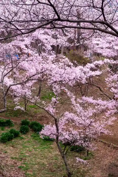 新城藤原神社(長野県)