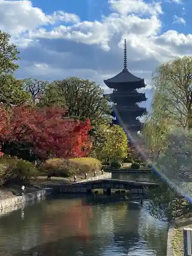 東寺（教王護国寺）(京都府)