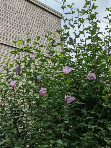 西林寺(京都府)