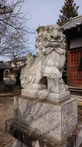 星宮神社 (免鳥町)の狛犬