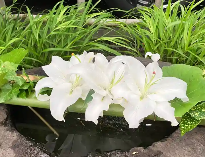 新琴似神社の手水舎