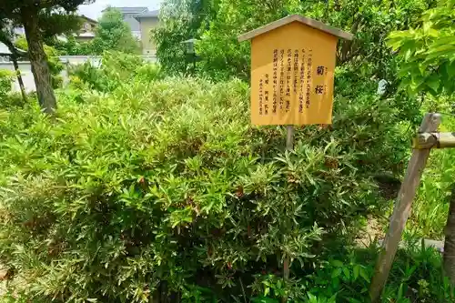 橋寺 放生院の歴史