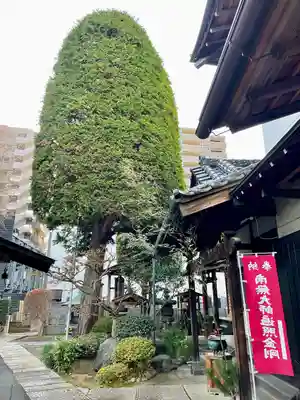 成就院(上寺)(埼玉県)