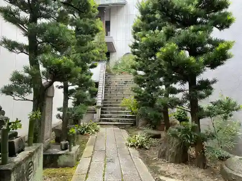 称福寺(京都府)
